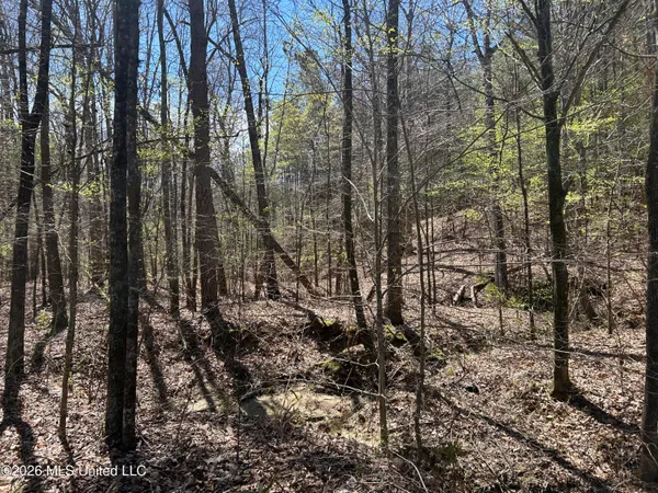 $662,960 | 9 Mississippi Blue Springs, Blue Springs, MS 38828