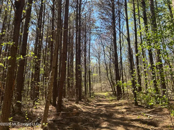 $662,960 | 9 Mississippi Blue Springs, Blue Springs, MS 38828