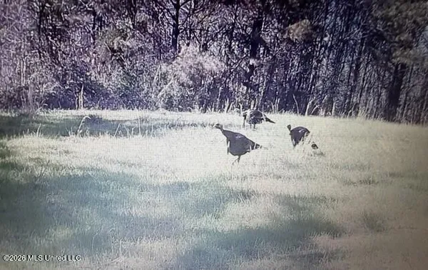 $662,960 | 9 Mississippi Blue Springs, Blue Springs, MS 38828