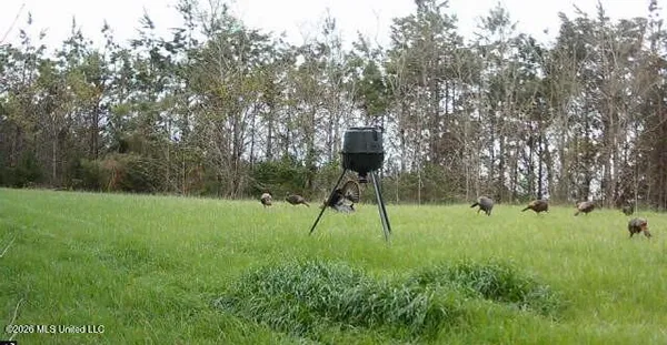 $662,960 | 9 Mississippi Blue Springs, Blue Springs, MS 38828