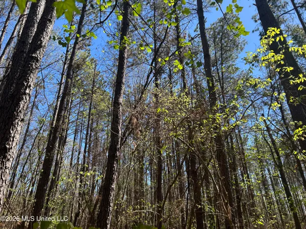 $662,960 | 9 Mississippi Blue Springs, Blue Springs, MS 38828