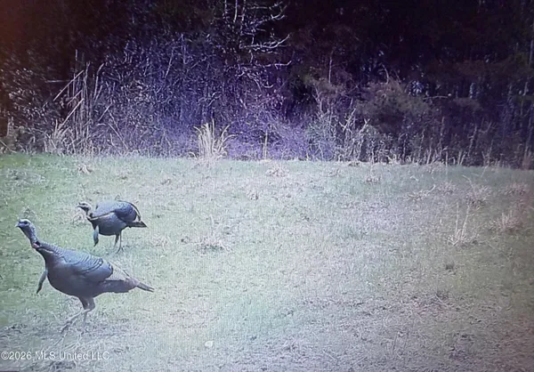 $662,960 | 9 Mississippi Blue Springs, Blue Springs, MS 38828