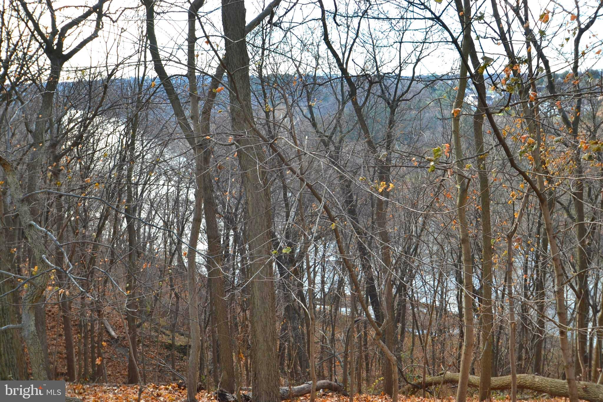 560 Magaro Road Enola, PA 17025 - Photo 33 of 37 Gallery Image 33
