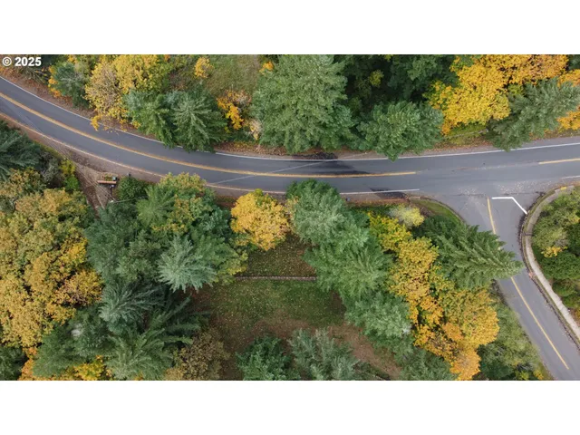 a open area with green garden