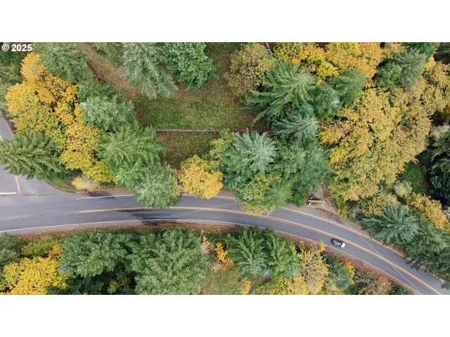 a picture of a bench in a garden