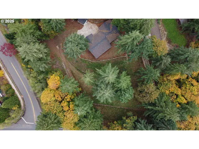 a open area with lots of green trees