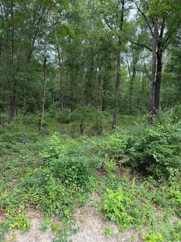 $58,000 | Tbd Lot 20 Tbd Road, Gresham, SC 29546