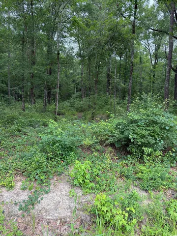 $58,000 | Tbd Lot 20 Tbd Road, Gresham, SC 29546