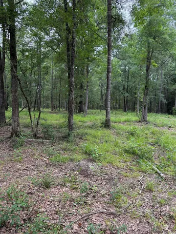 $58,000 | Tbd Lot 20 Tbd Road, Gresham, SC 29546