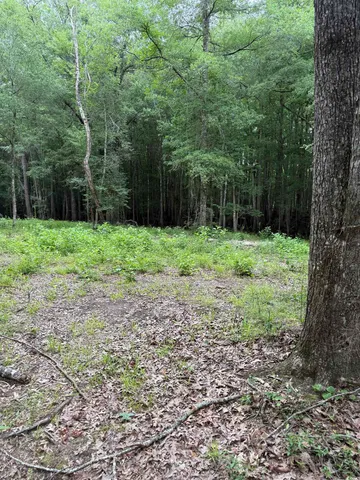 $58,000 | Tbd Lot 20 Tbd Road, Gresham, SC 29546
