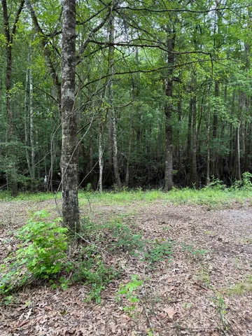 $58,000 | Tbd Lot 20 Tbd Road, Gresham, SC 29546