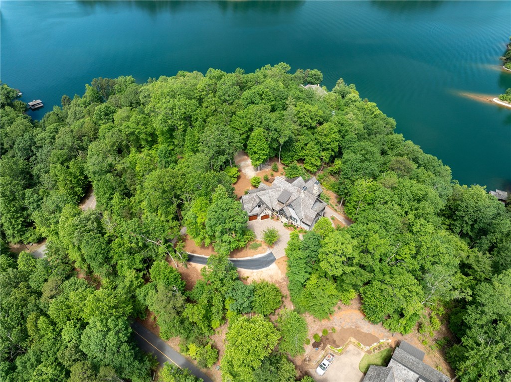 194 Cool Water Way Sunset, SC 29685 - Photo 44 of 46