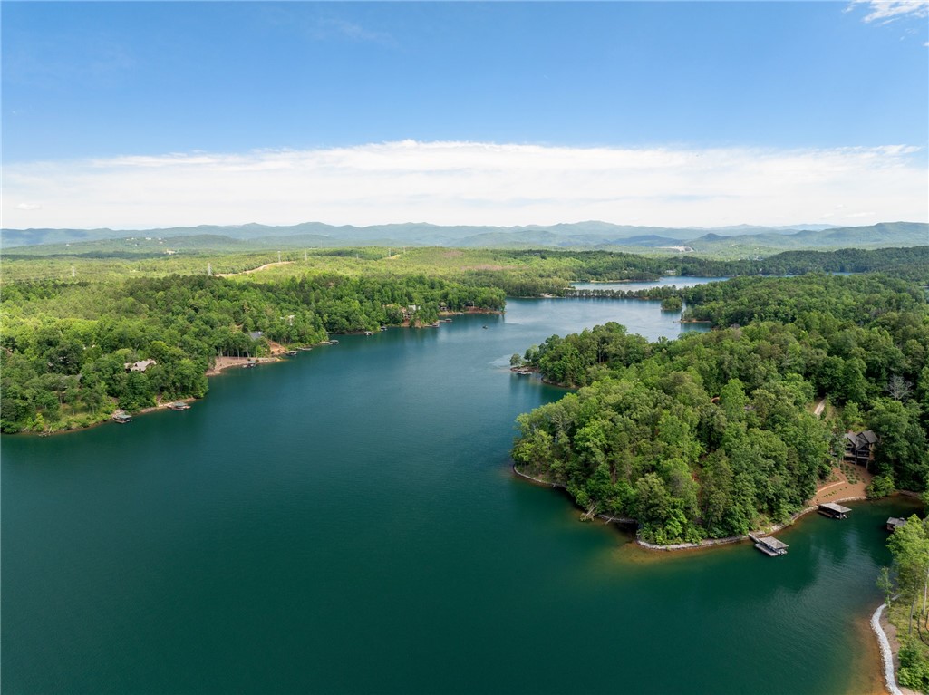 194 Cool Water Way Sunset, SC 29685 - Photo 45 of 46