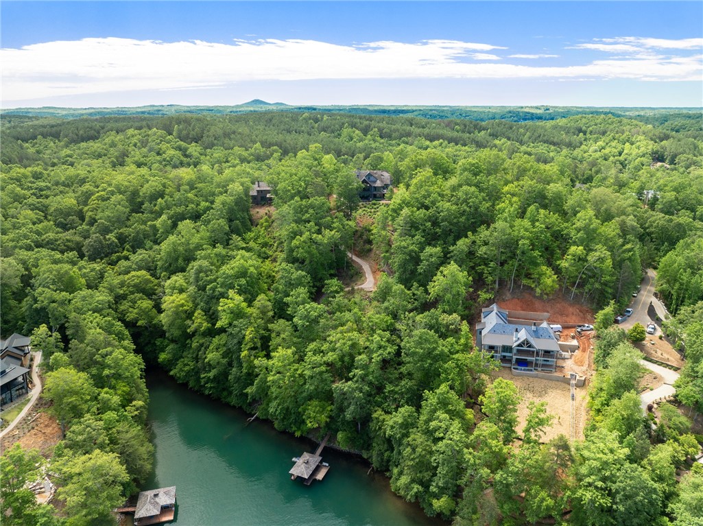 194 Cool Water Way Sunset, SC 29685 - Photo 46 of 46