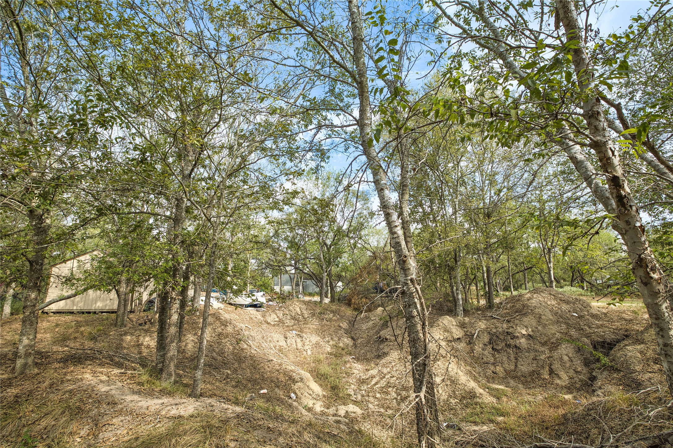 2900 Salt Flat Road Luling, TX 78648 - Photo 9 of 17 Mature trees surround this natural lot offering a private setting.