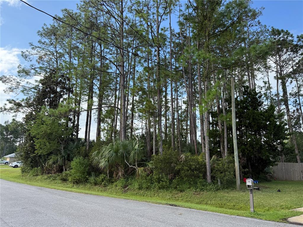 19 Lindberg Lane Palm Coast, FL 32137 - Photo 3 of 13