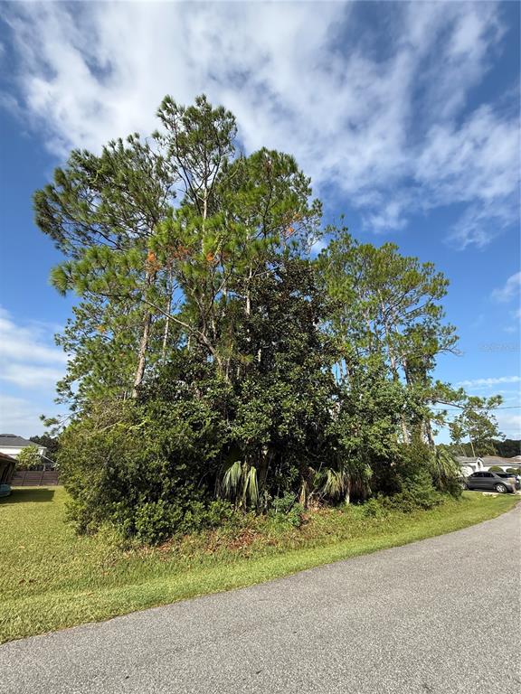 19 Lindberg Lane Palm Coast, FL 32137 - Photo 4 of 13