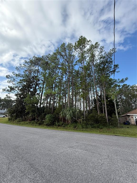 19 Lindberg Lane Palm Coast, FL 32137 - Photo 9 of 13