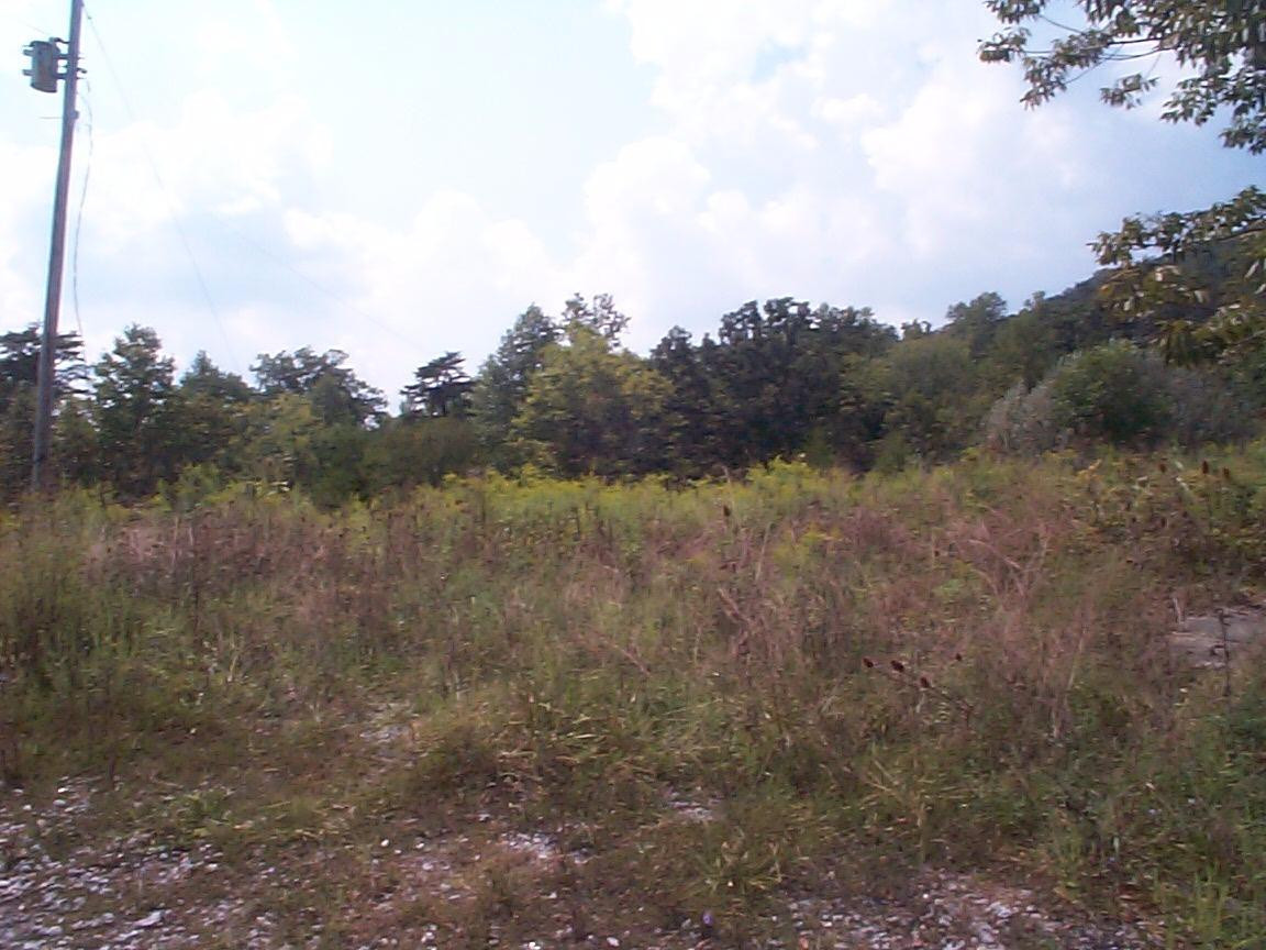 501 Hamm Road Wallingford, KY 41093 - Photo 3 of 5 Photo 3