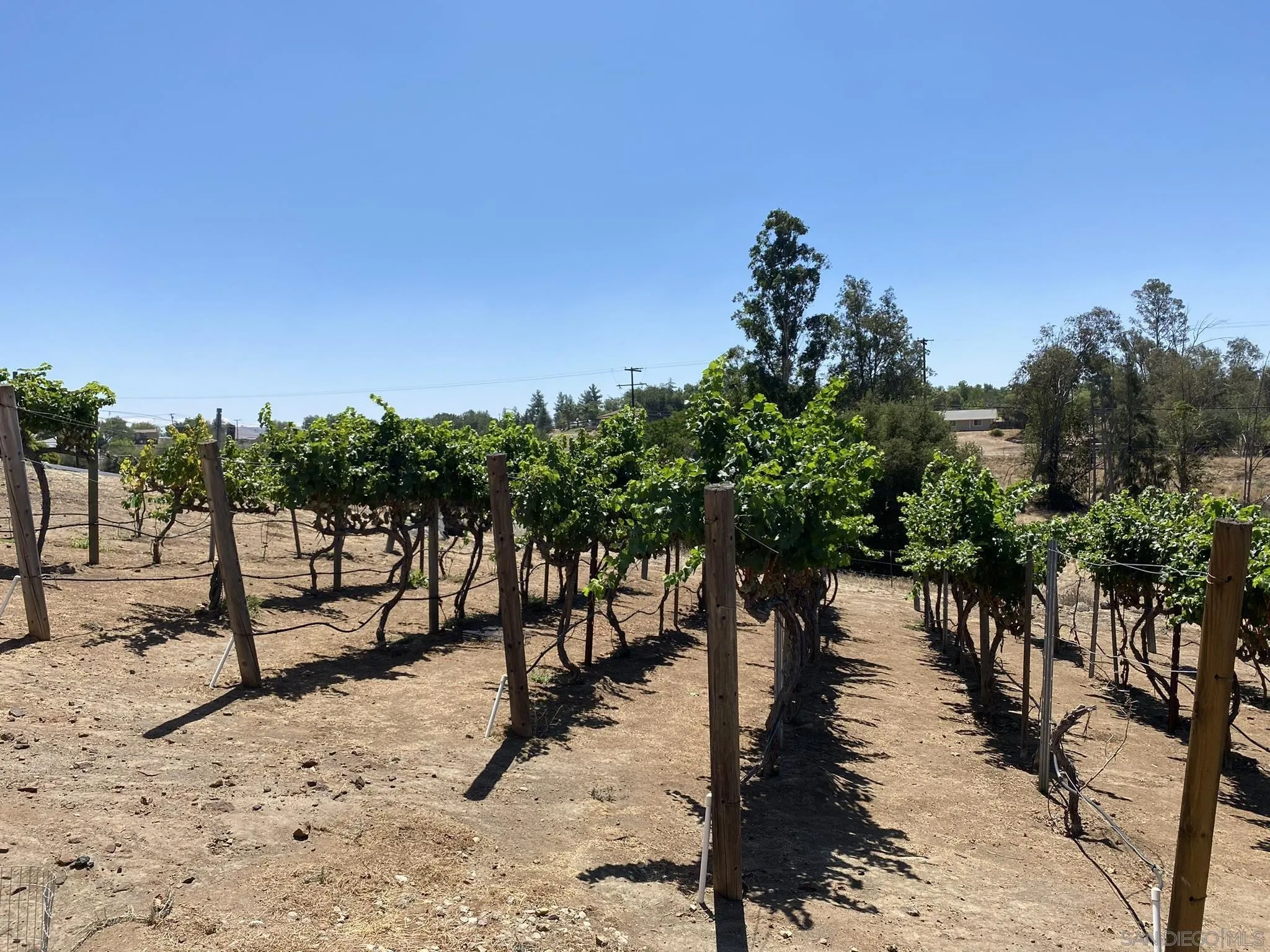 1070 Heritage Ranch Road Ramona, CA 92065 - Photo 70 of 73 a view of a yard with a tree