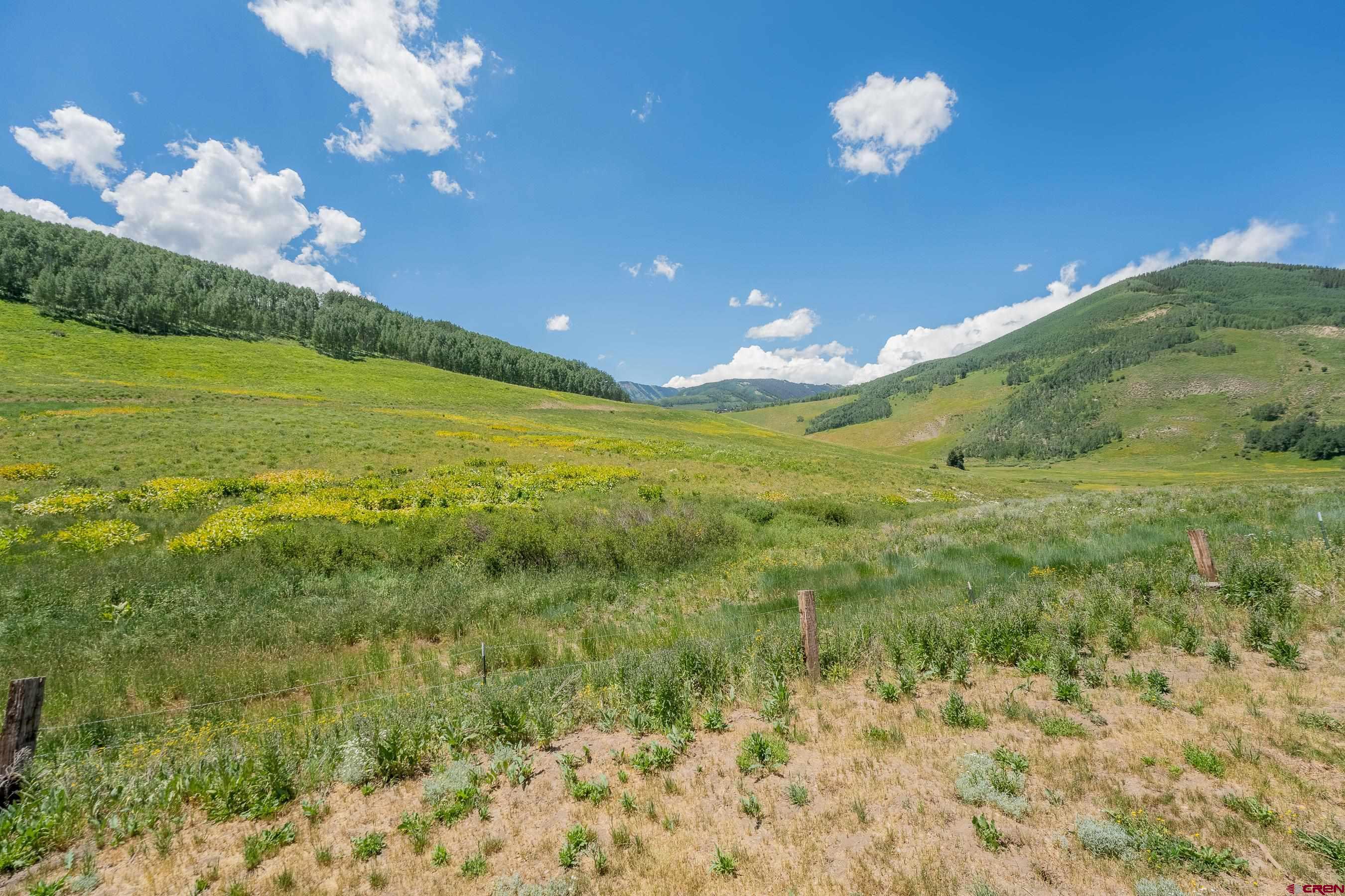 29 Paradise Road Crested Butte, CO 81225 - Photo 17 of 28 Gallery Image 17