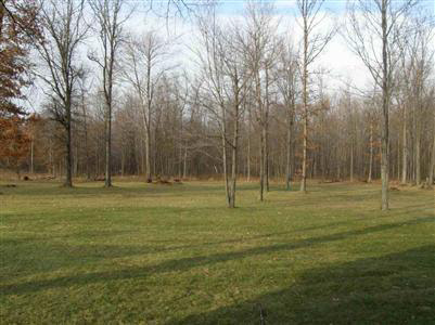 12204 Sharon Road Oakley, MI 48649 - Photo 15 of 15 20251879-14.JPG
