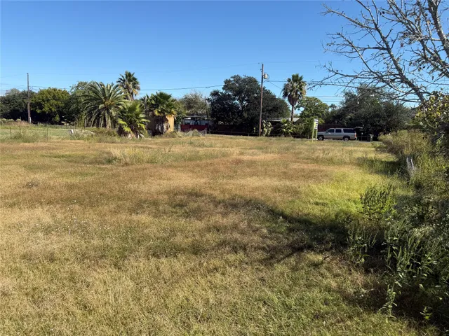 a view of a yard with an trees