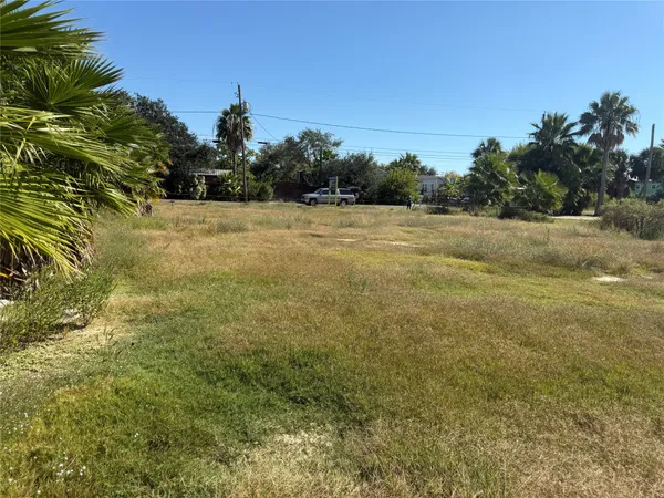 a view of a field of grass and trees