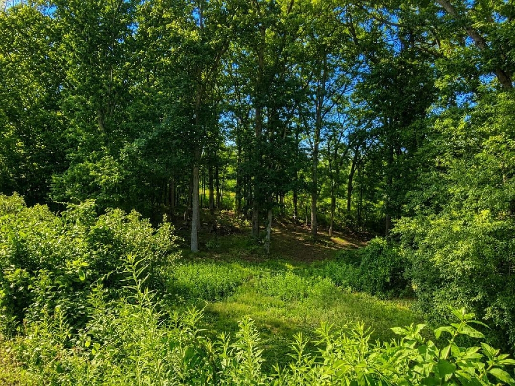 9 Cold Spring Road North Reading, MA 01864 - Photo 15 of 17