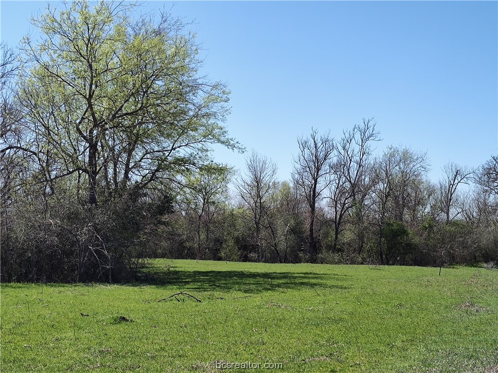 a view of a grassy field
