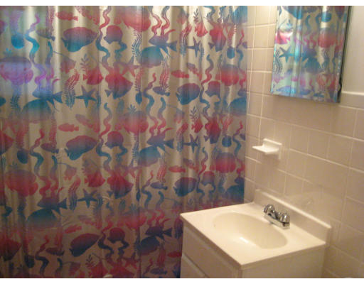 43 Joan Road Boston, MA 02136 - Photo 14 of 16 Gallery Image 14