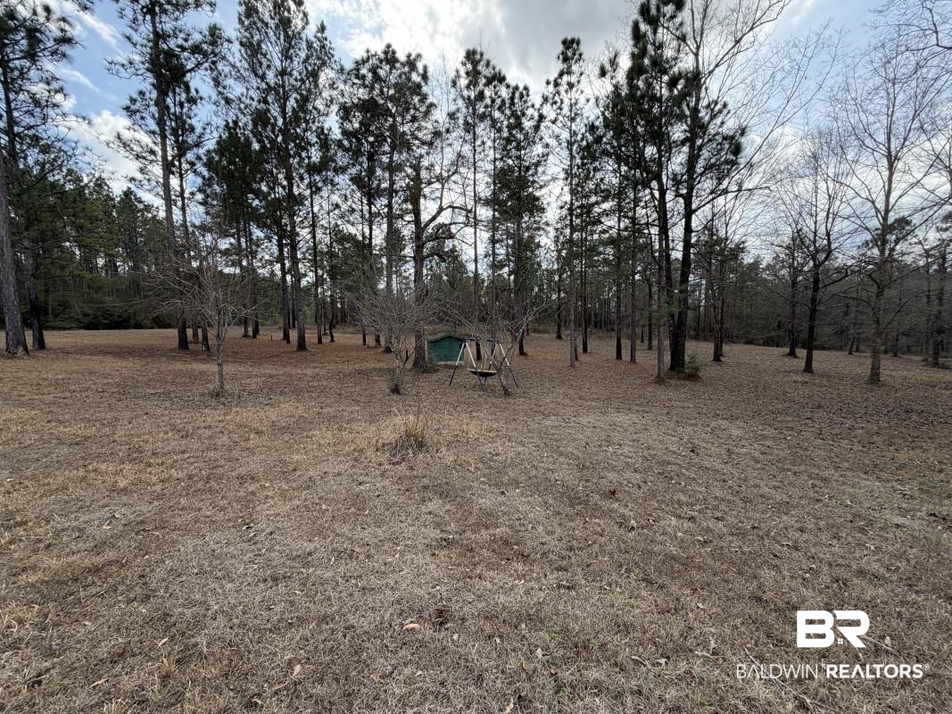 19225 Joan Harris Road Mount Vernon, AL 36560 - Photo 7 of 7 View of yard