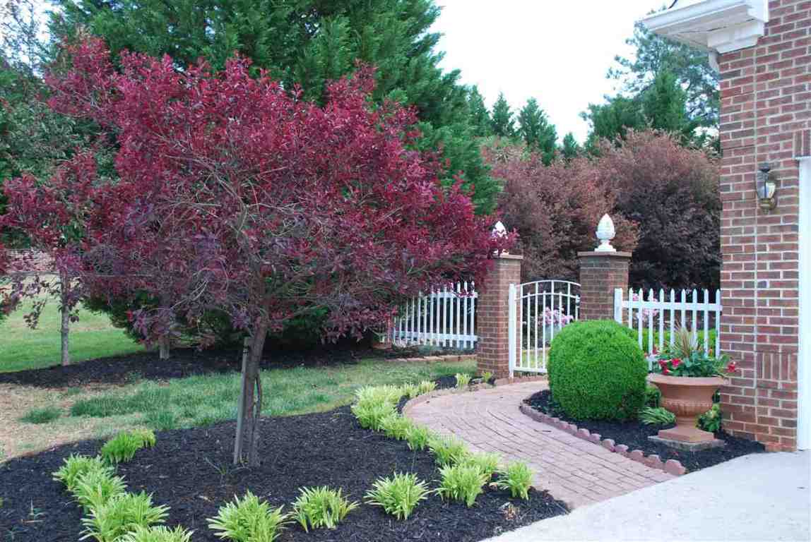 103 Andalusian Trail Anderson, SC 29621 - Photo 31 of 36