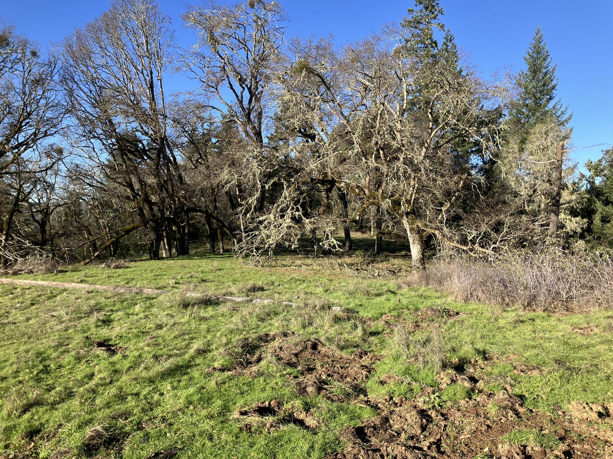 123 Cemetery Road Blocksburg, CA 95514 - Photo 21 of 36