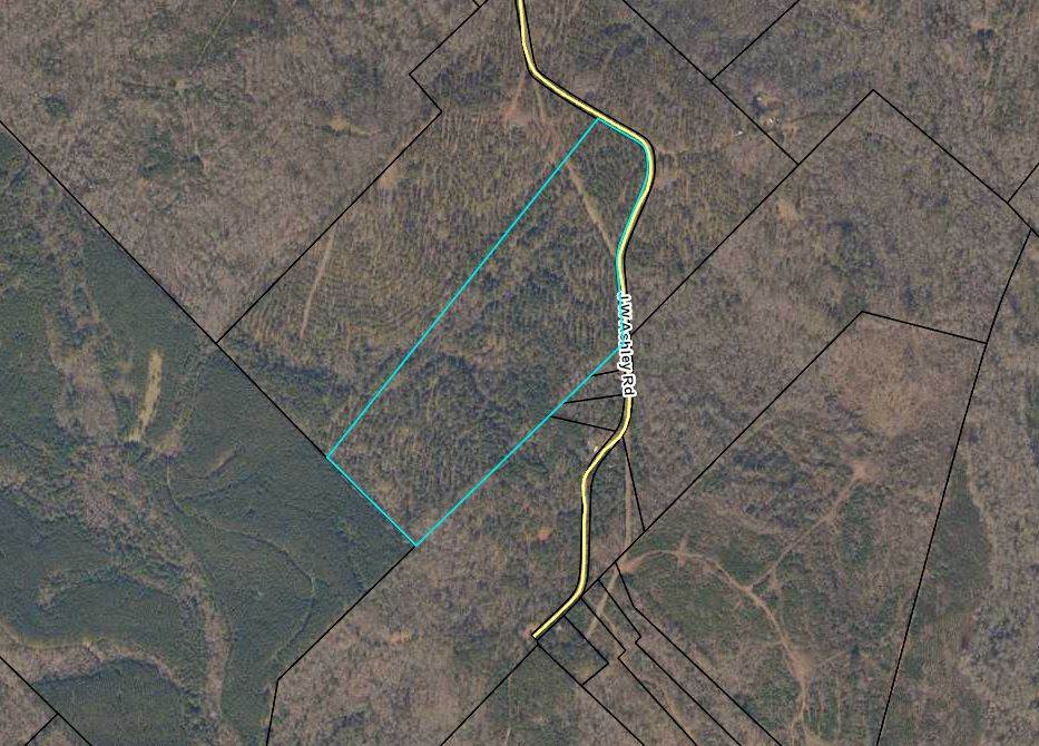 Jw Ashley Road Jeffersonville, GA 31044 - Photo 1 of 1