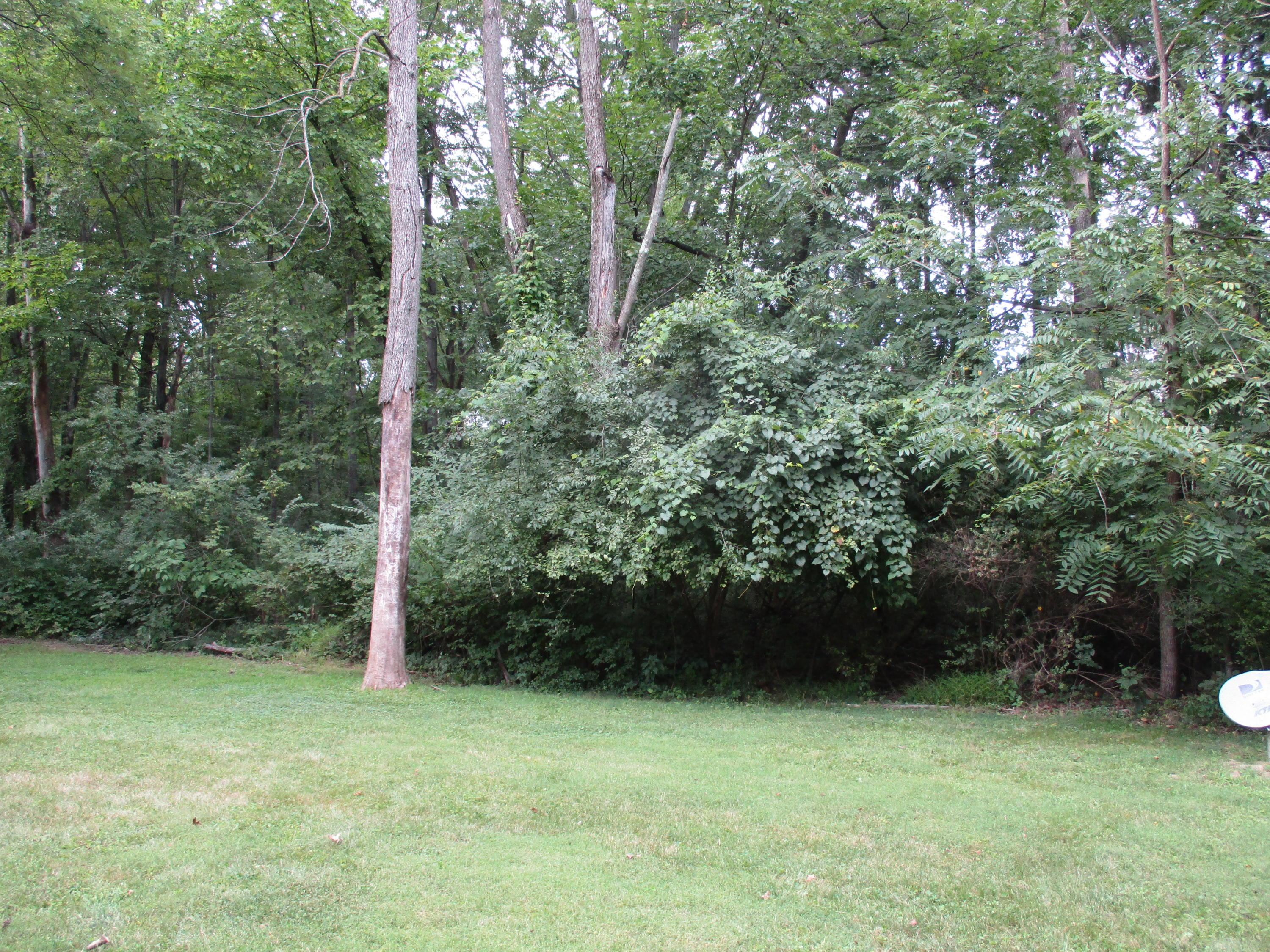 5192 Etna Road Columbus, OH 43213 - Photo 3 of 20