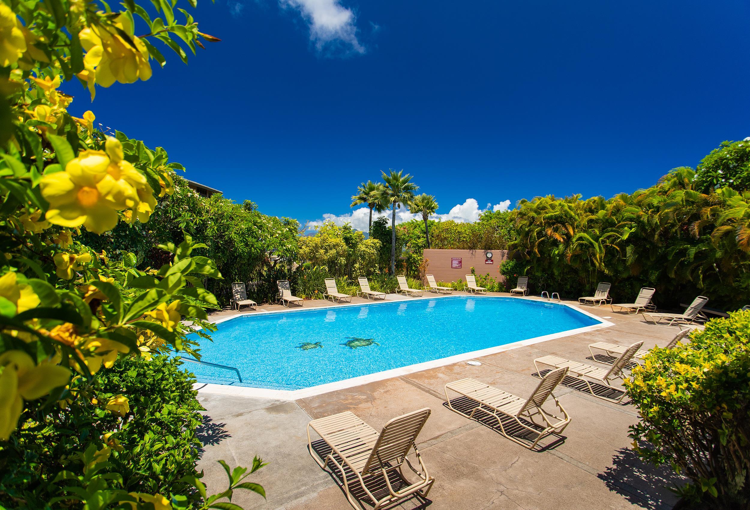 100 Ridge Road, Unit 321 Lahaina, HI 96761 - Photo 19 of 30 a view of a swimming pool with an outdoor space and seating area