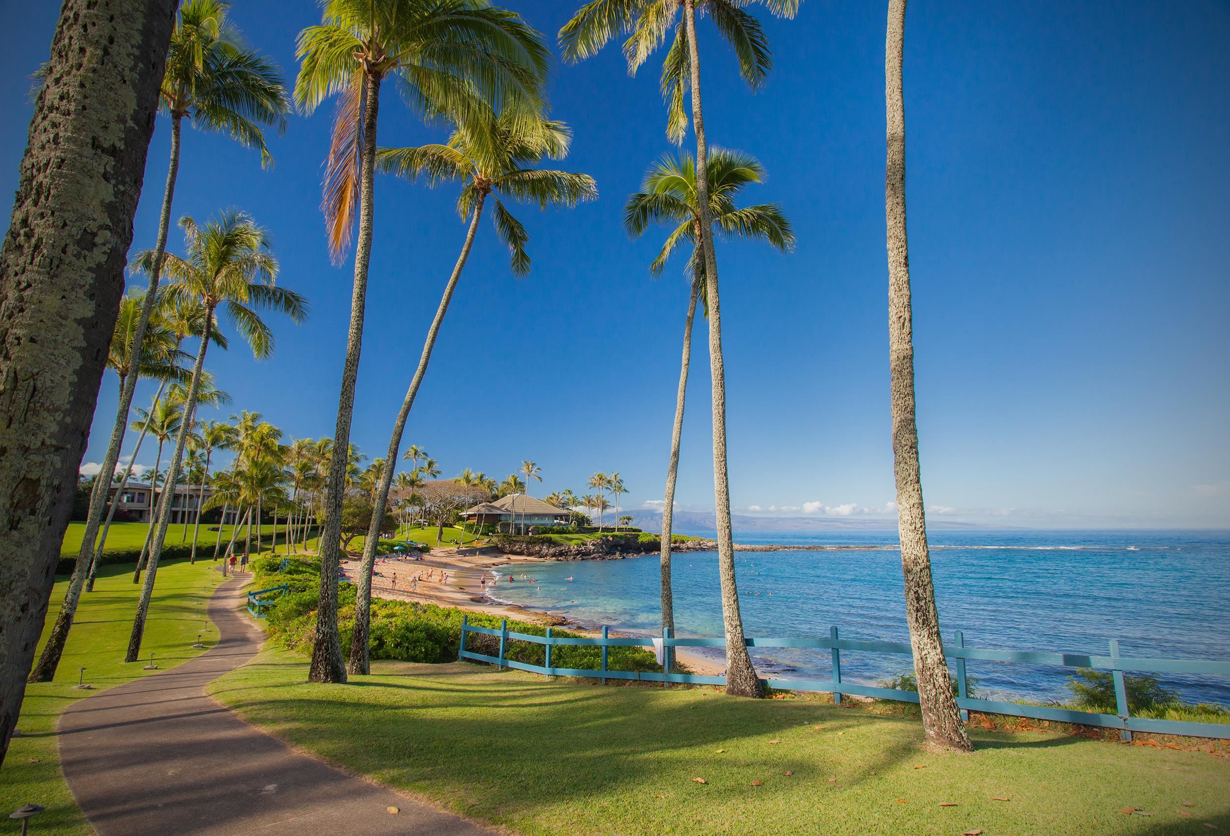 100 Ridge Road, Unit 321 Lahaina, HI 96761 - Photo 24 of 30 a view of an outdoor space