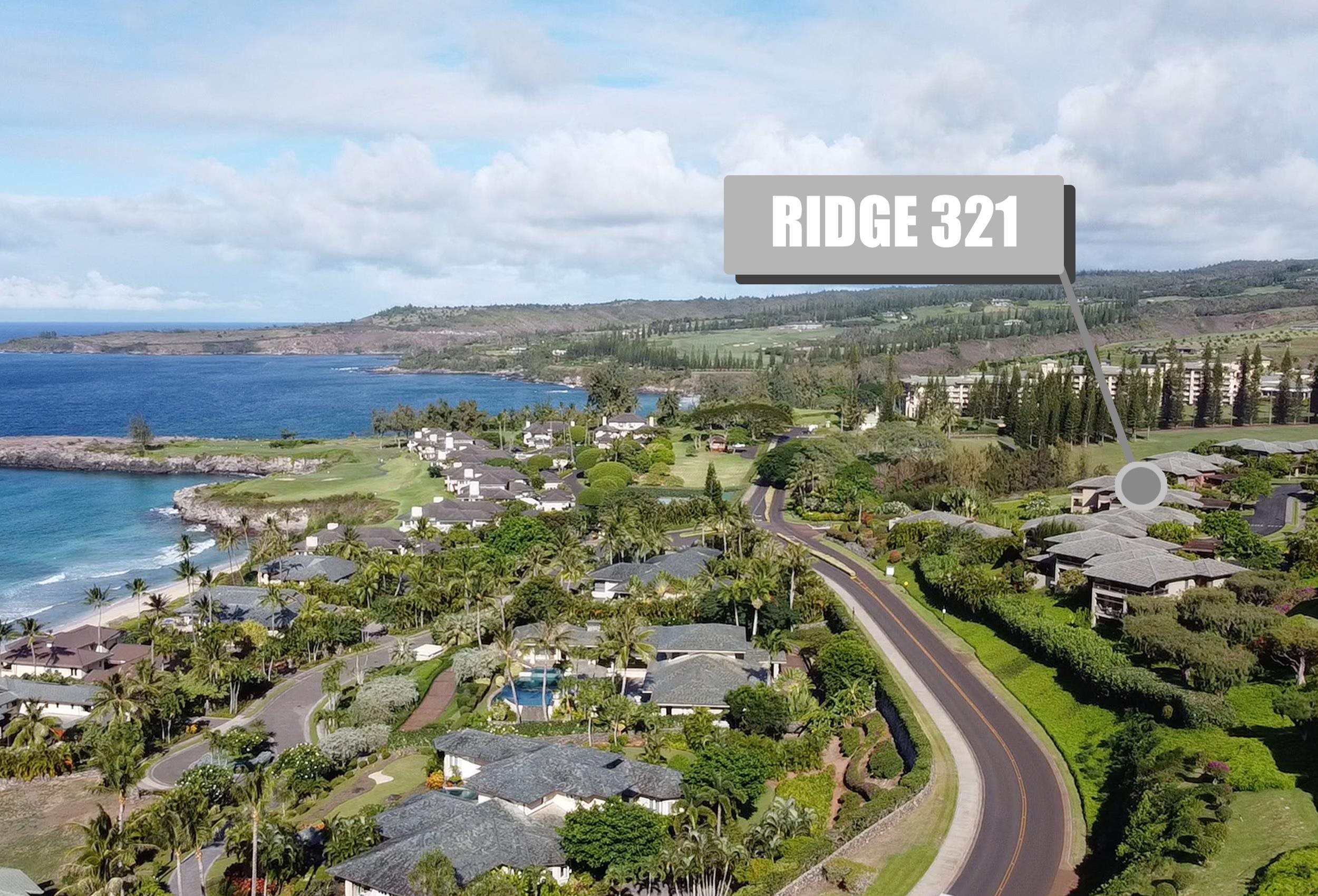 100 Ridge Road, Unit 321 Lahaina, HI 96761 - Photo 10 of 30 a view of a city