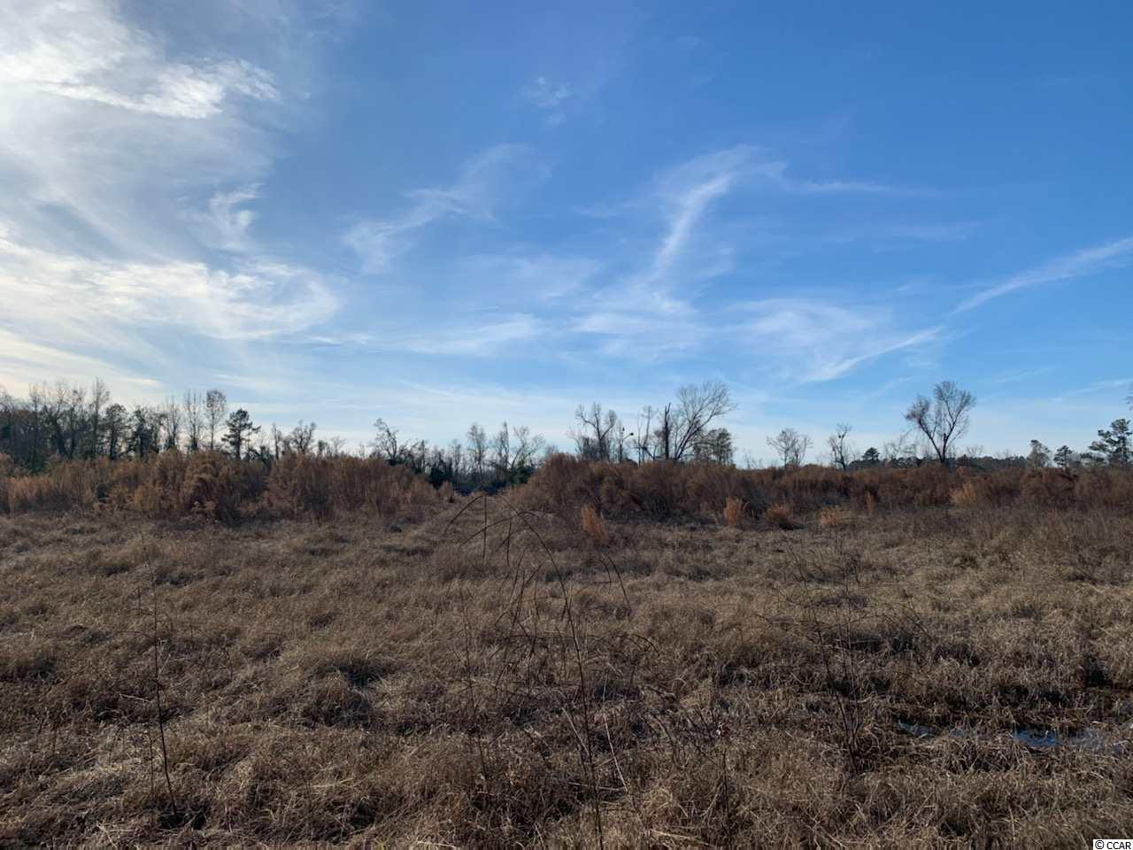 28 Muddy Creek Road Hemingway, SC 29554 - Photo 1 of 4