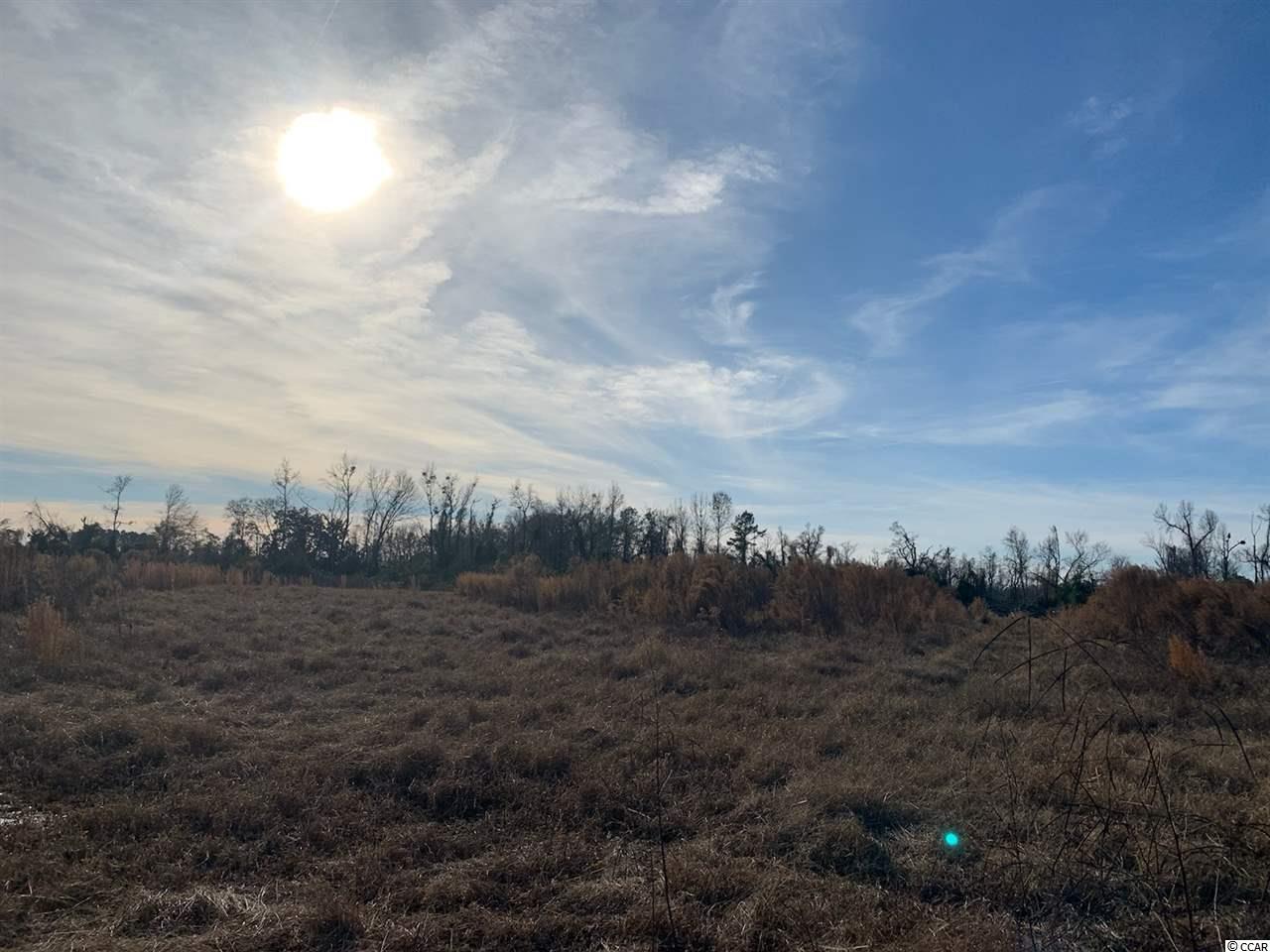 28 Muddy Creek Road Hemingway, SC 29554 - Photo 2 of 4