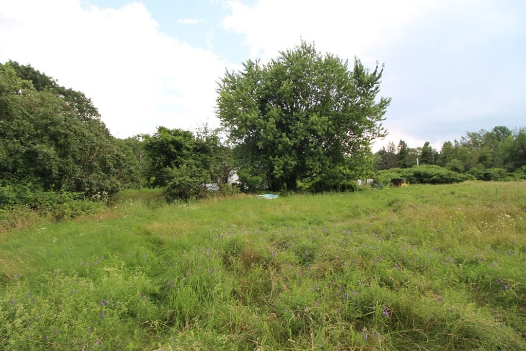 91 Davis Road Westminster, MA 01473 - Photo 35 of 37 a view of a green field with plants