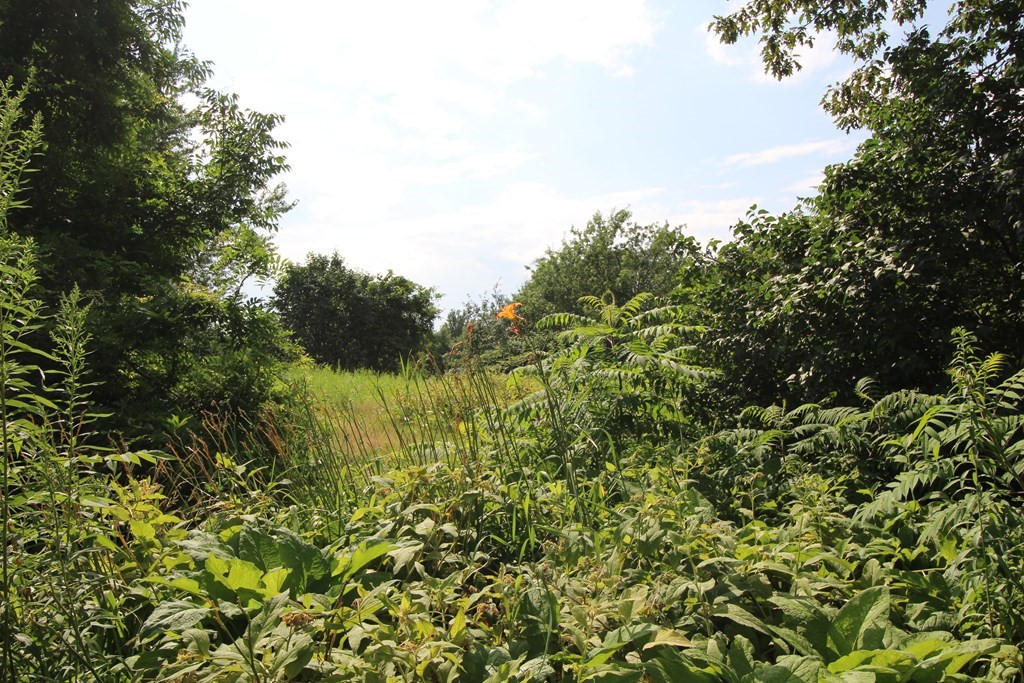 91 Davis Road Westminster, MA 01473 - Photo 4 of 37 a view of a garden