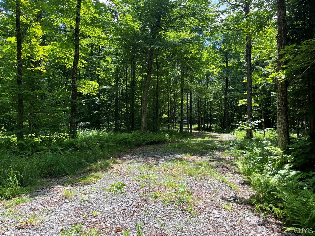 East Town Line Road Lorraine, NY 13659 - Photo 28 of 34 Gallery Image 28