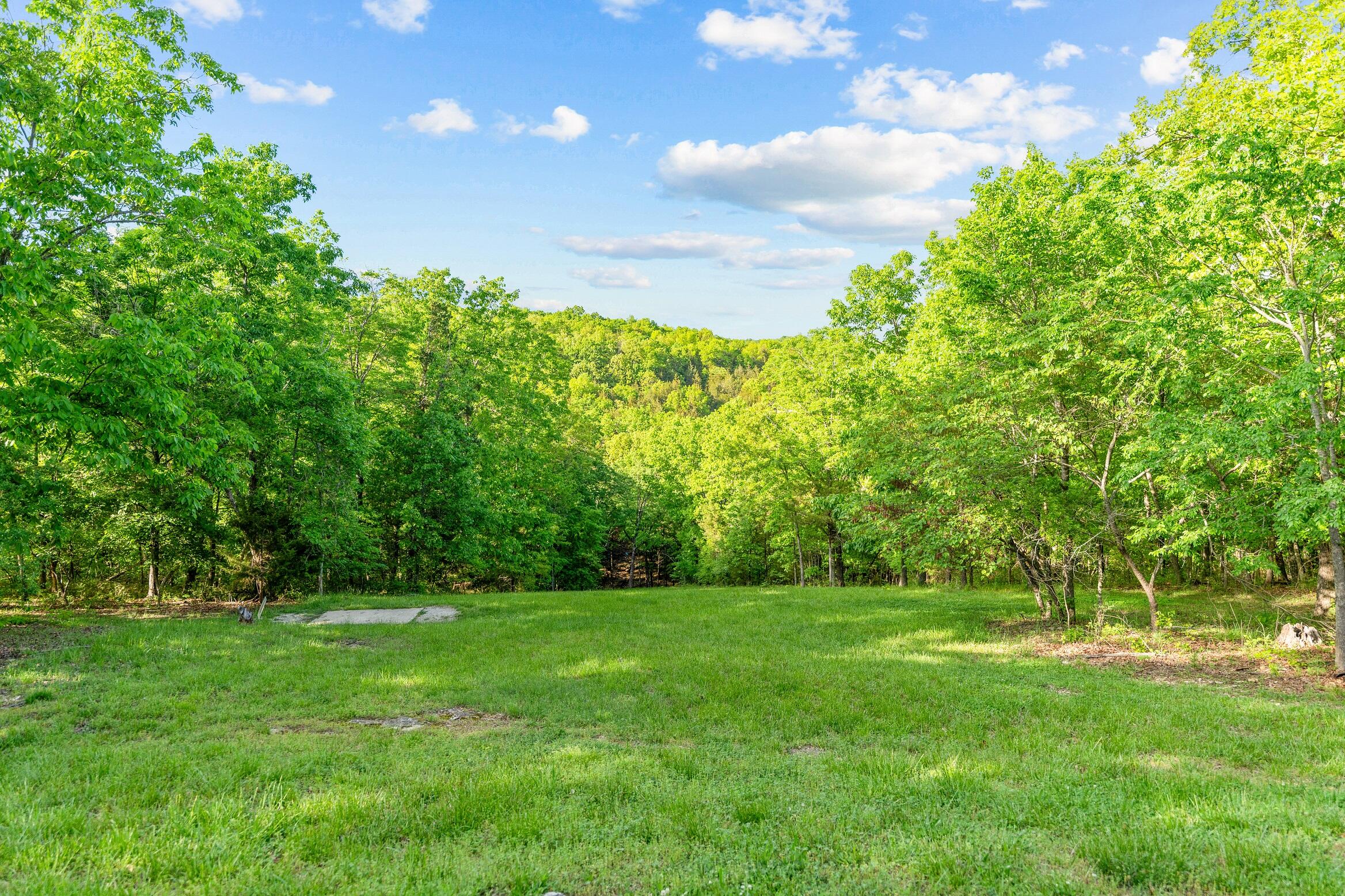 0 El Monte Road Branson, MO 65616 - Photo 10 of 10 Lot 2
