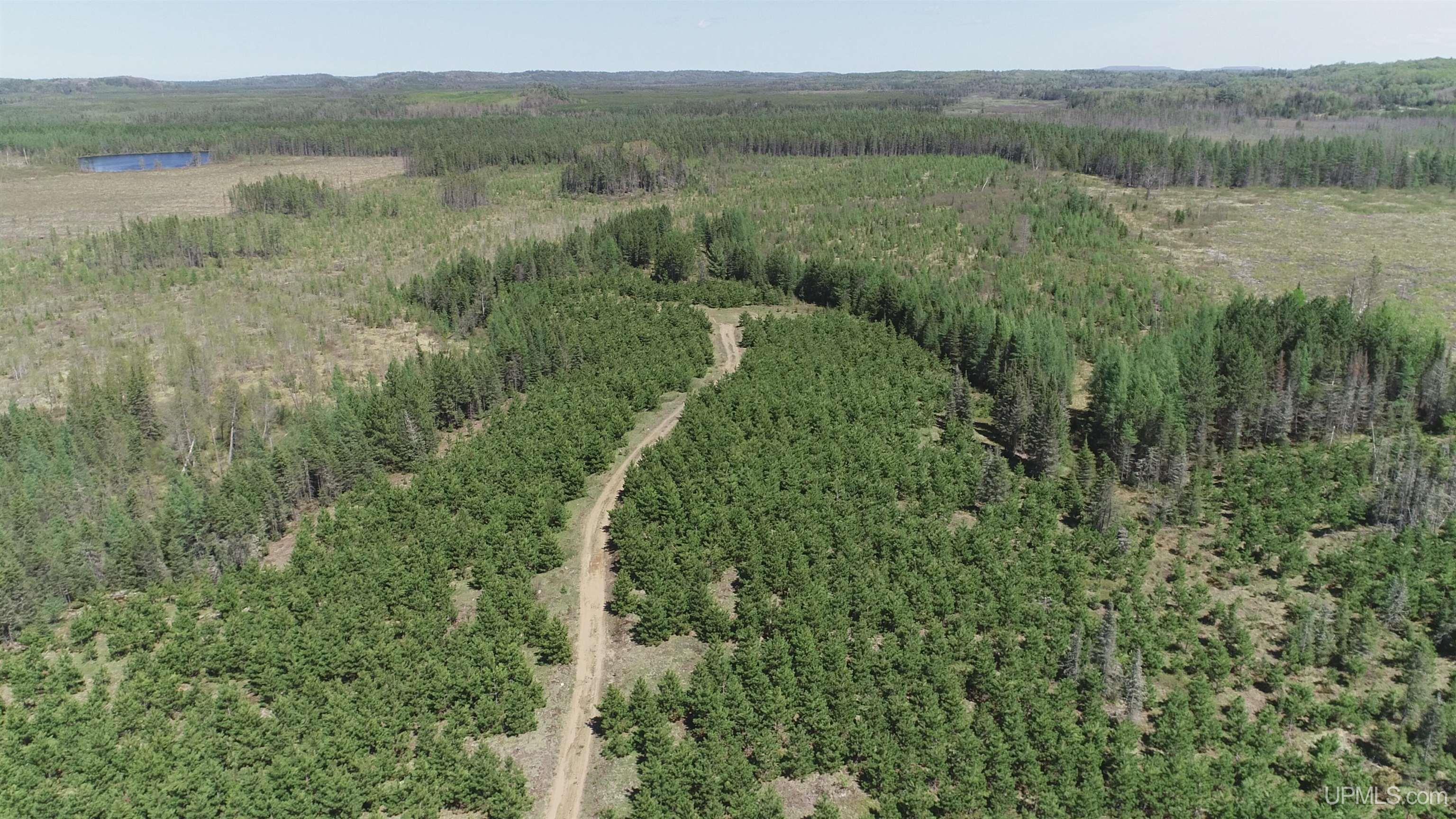 58-acres Co Rd Fn Road Champion, MI 49814 - Photo 4 of 27