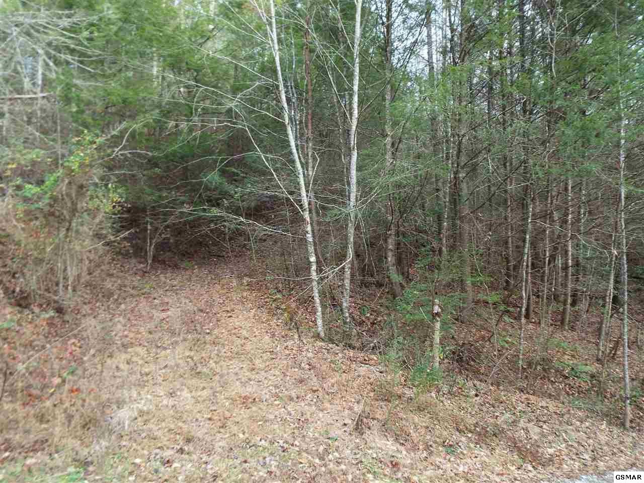 234 Yellow Breeches Road Cosby, TN 37722 - Photo 1 of 16 Gallery Image 1