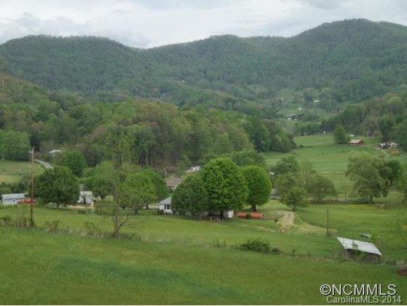 2078 Murray Road Canton, NC 28716 - Photo 3 of 20 a view of a lush green hillside and houses