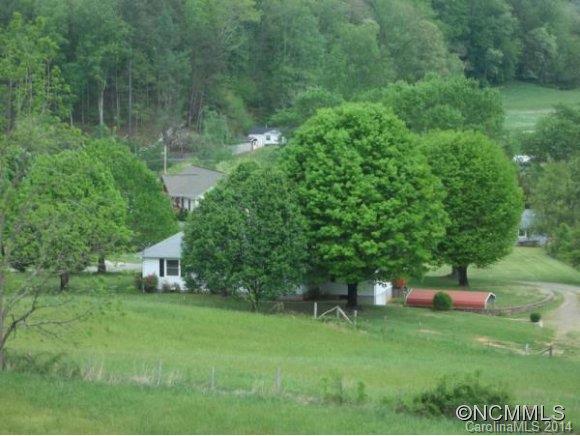 2078 Murray Road Canton, NC 28716 - Photo 4 of 20 a backyard of a house with plants and large trees