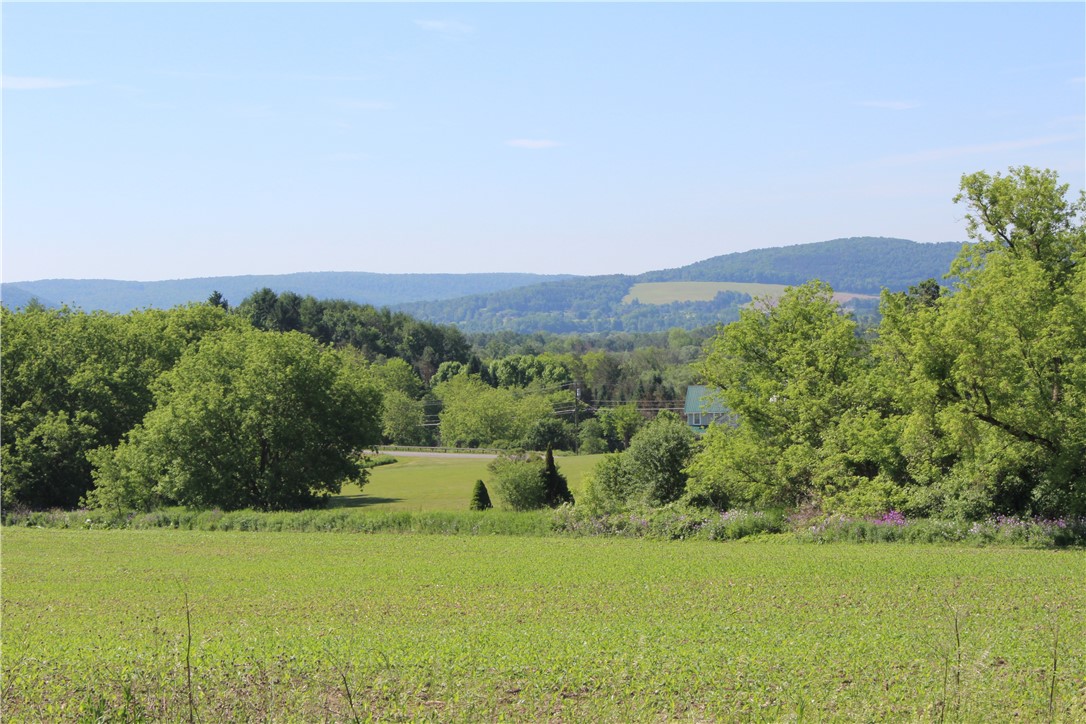 133 Sanitarium Road Sherburne, NY 13460 - Photo 4 of 50
